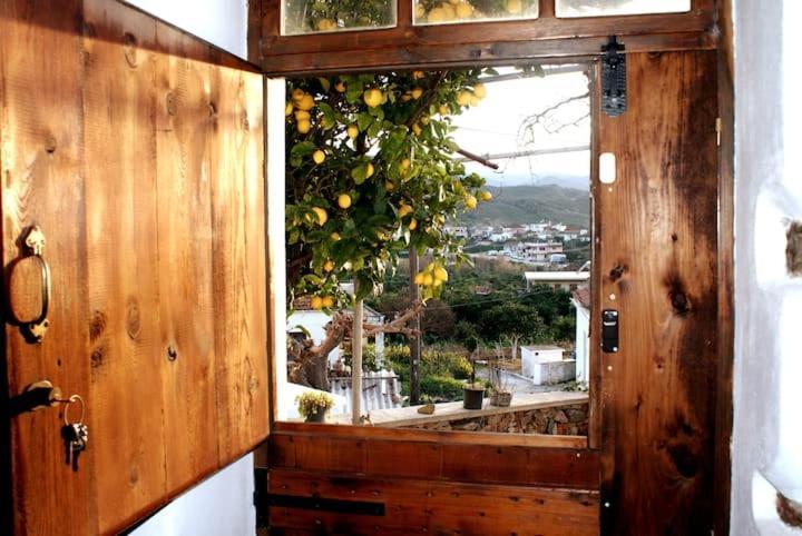 Afrodite'S House-Restaurated Oil Factory Agia  エクステリア 写真